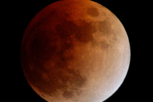 How To Photograph The Lunar Eclipse on November 8th
